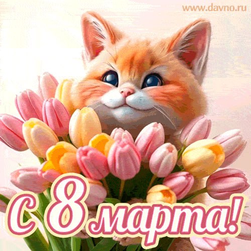 Дорогие женщины! С 8 марта! Дорогие женщины! С 8 марта!